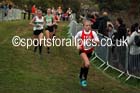 Girls under-15s, 2016 National Cross Country Relays, Berry Hill Park, Mansfield. Photo: David T. Hewitson/Sports for All Pics